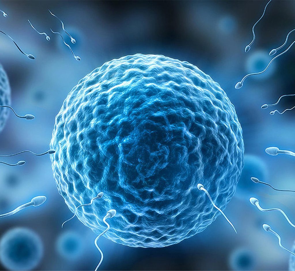 Sperm Hazırlama Teknikleri